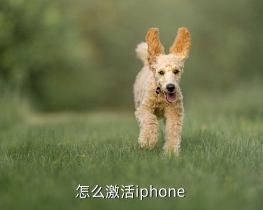 怎么激活iphone