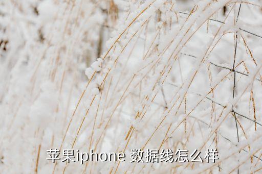  苹果iphone 数据线怎么样