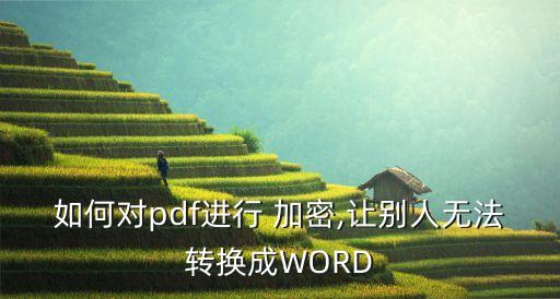 如何对pdf进行 加密,让别人无法转换成word