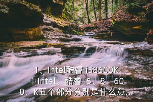 1、intel酷睿 i58600k中intel、酷睿 i5、8、600、k五个部分分别是什么意...