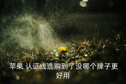  苹果 认证线选购到了没哪个牌子更好用