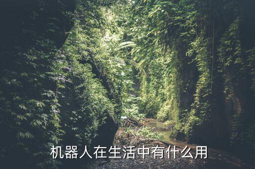 蚂蚁机器人能干什么的,居民助理机器人是干什么的