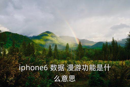 iphone6 数据 漫游功能是什么意思