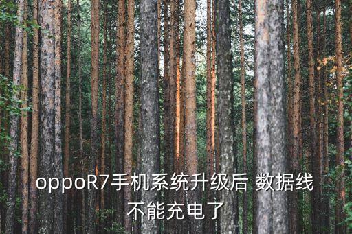 oppor7手机系统升级后 数据线不能充电了