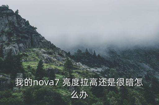 我的nova7 亮度拉高还是很暗怎么办