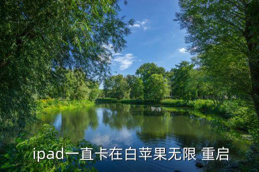 ipad经常自动重启,修复ios故障强制重启ipad白苹果