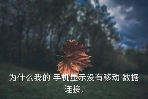 为什么我的 手机显示没有移动 数据连接,