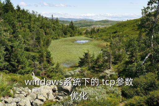 windows系统下的 tcp参数优化