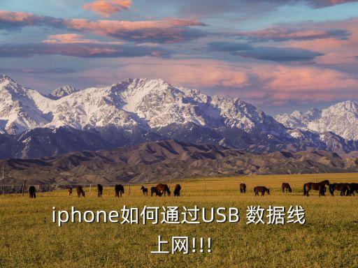 iphone如何通过usb 数据线 上网!!!