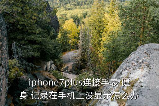 iphone7plus连接手表 健身 记录在手机上没显示怎么办