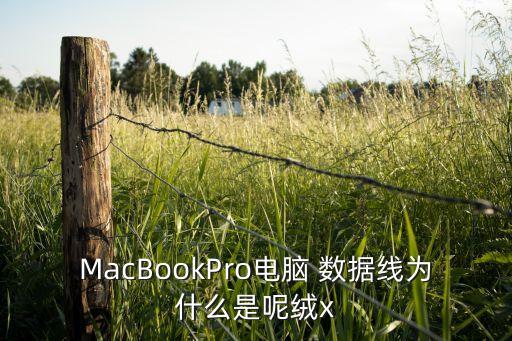 macbookpro电脑 数据线为什么是呢绒x