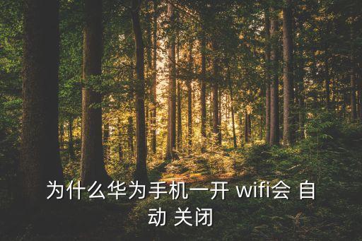 为什么华为手机一开 wifi会 自动 关闭