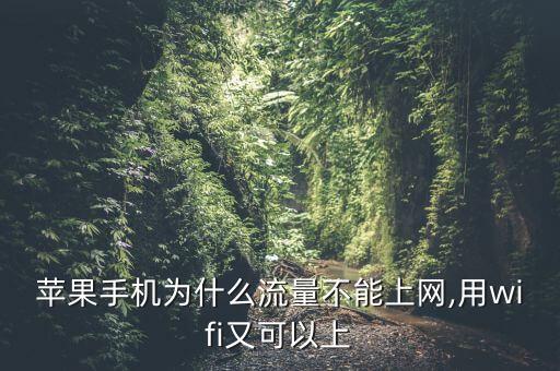 苹果手机为什么流量不能上网,用wifi又可以上