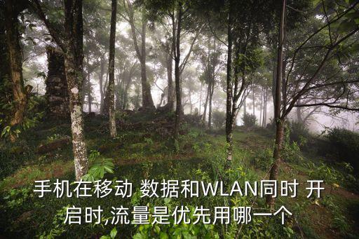 手机在移动 数据和wlan同时 开启时,流量是优先用哪一个