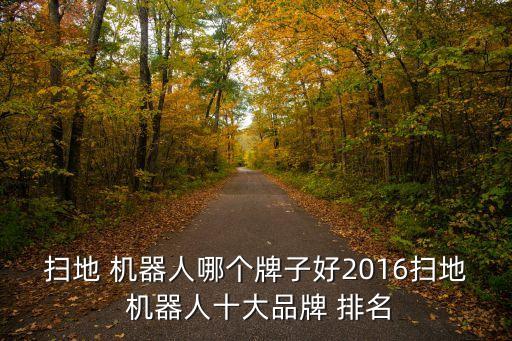 扫地 机器人哪个牌子好2016扫地 机器人十大品牌 排名