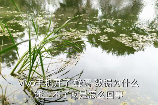 vivo手机开了 蜂窝 数据为什么还上不了网是怎么回事