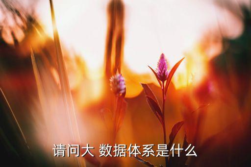 数据仓库 大数据平台,说明数据仓库与大数据的关系