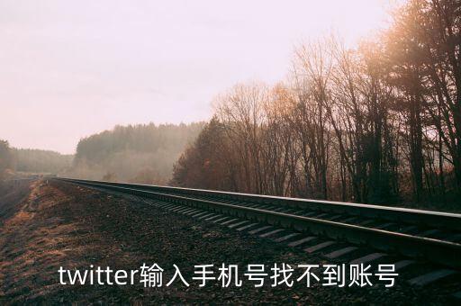 twitter输入手机号找不到账号