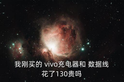 我刚买的 vivo充电器和 数据线花了130贵吗