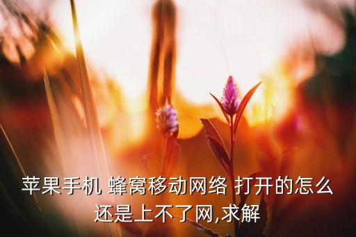 苹果手机 蜂窝移动网络 打开的怎么还是上不了网,求解