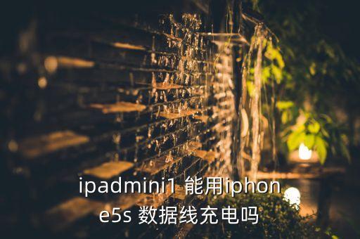 ipadmini1 能用iphone5s 数据线充电吗