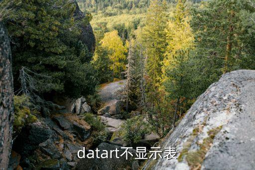 datart不显示表