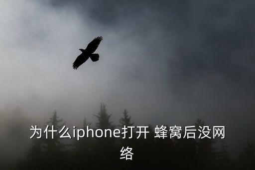 蜂窝移动数据授权,iphone用不了蜂窝移动数据