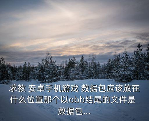 求教 安卓手机游戏 数据包应该放在什么位置那个以obb结尾的文件是 数据包...