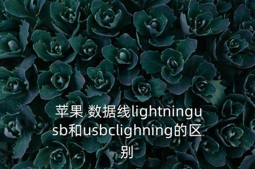  苹果 数据线lightningusb和usbclighning的区别