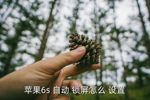 苹果6s 自动 锁屏怎么 设置