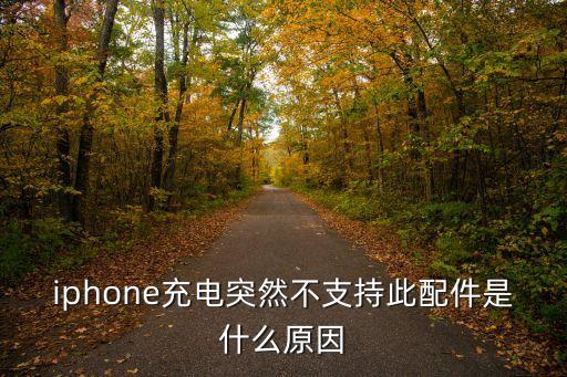 iphone充电突然不支持此配件是什么原因