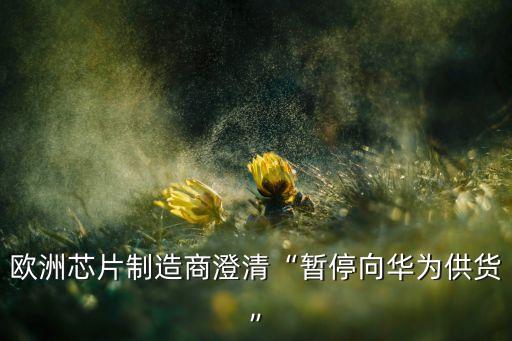 欧洲芯片制造商澄清“暂停向华为供货”