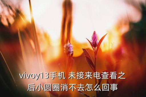 vivoy13手机 未接来电查看之后小圆圈消不去怎么回事