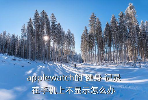 applewatch的 健身 记录在手机上不显示怎么办