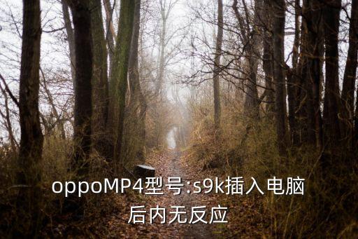 oppomp4型号:s9k插入电脑后内无反应