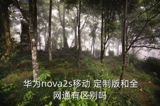  华为nova2s移动 定制版和全网通有区别吗