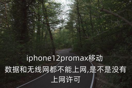 iphone12promax移动 数据和无线网都不能上网,是不是没有上网许可