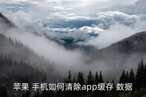 苹果 手机如何清除app缓存 数据