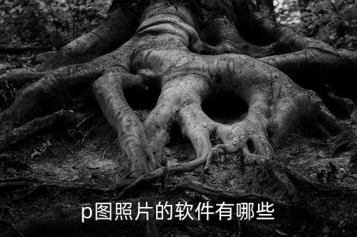 p图照片的软件有哪些