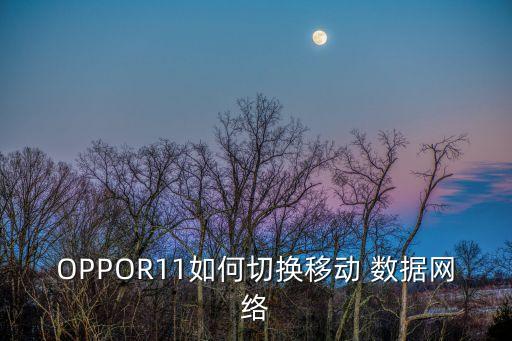 oppor11如何切换移动 数据网络