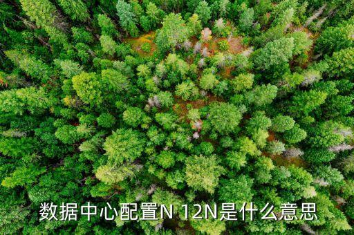  数据中心配置n 12n是什么意思