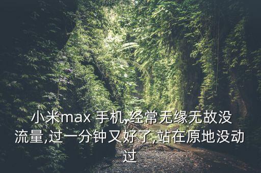  小米max 手机,经常无缘无故没流量,过一分钟又好了,站在原地没动过