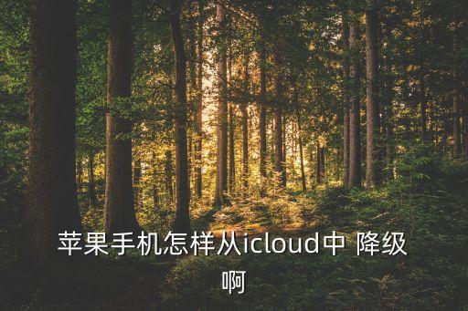 苹果手机怎样从icloud中 降级啊