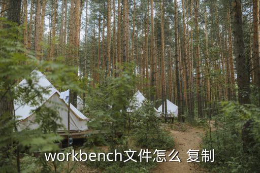 workbench文件怎么 复制