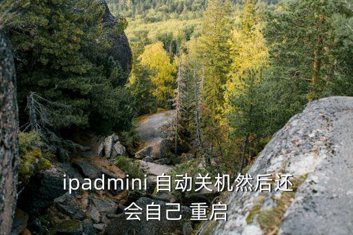  ipadmini 自动关机然后还会自己 重启