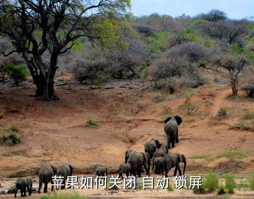 苹果如何关闭 自动 锁屏