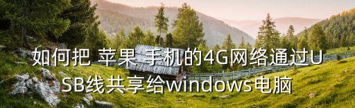 如何把 苹果 手机的4g网络通过usb线共享给windows电脑