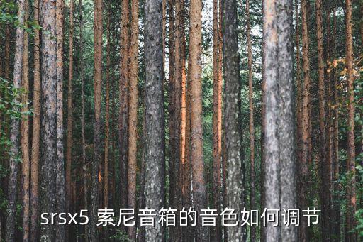 srsx5 索尼音箱的音色如何调节