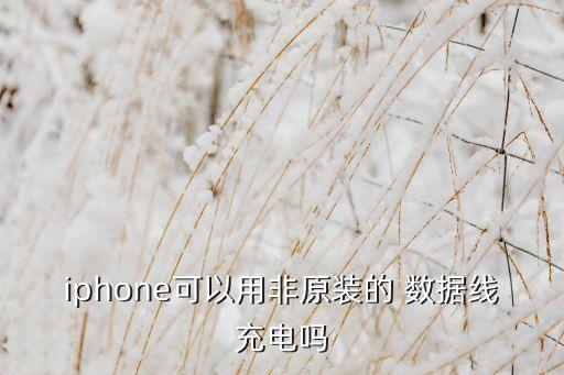 iphone可以用非原装的 数据线充电吗