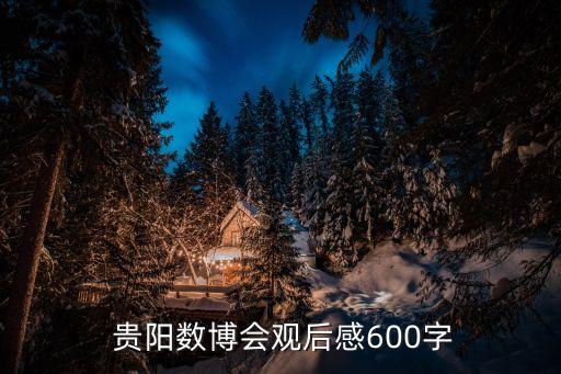  贵阳数博会观后感600字